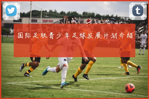 国际足联青少年足球发展计划介绍
